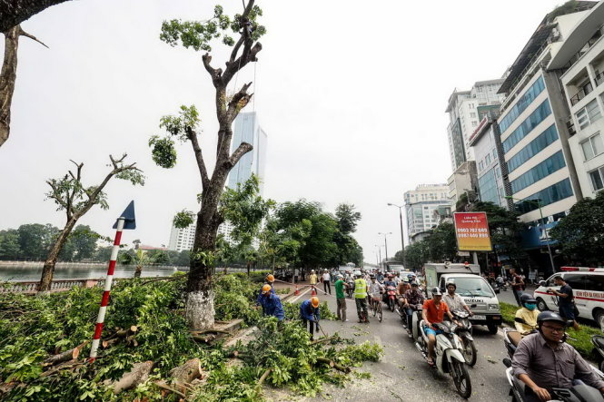 [-]Hà[-]Nội[-]di[-]dời,[-]đốn[-]hạ[-]cả[-]trăm[-]cây[-]xanh[-]làm[-]đường[-]sắt